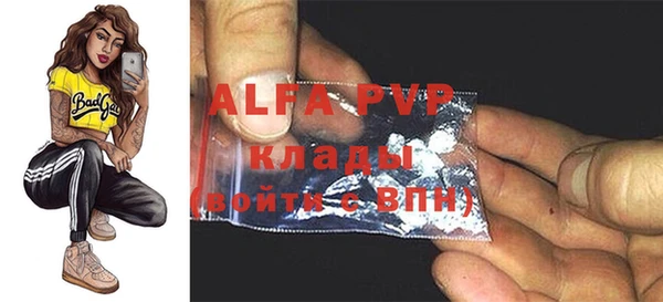 прущие грибы Арсеньев