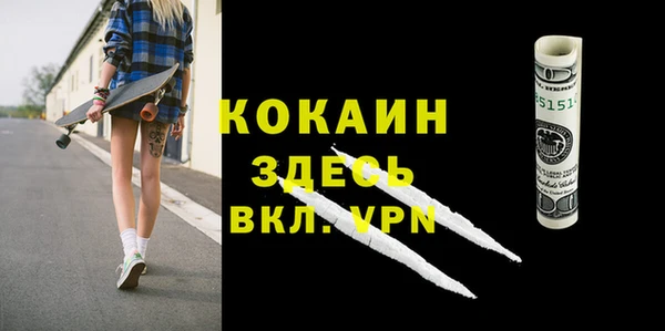 прущие грибы Арсеньев