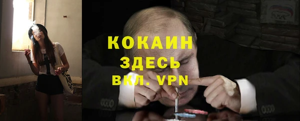 прущие грибы Арсеньев