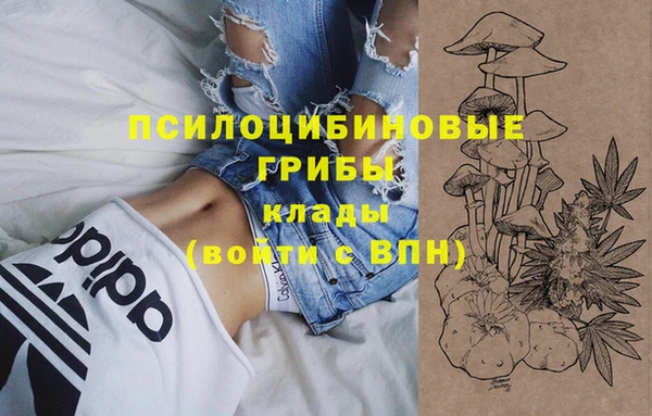 прущие грибы Арсеньев