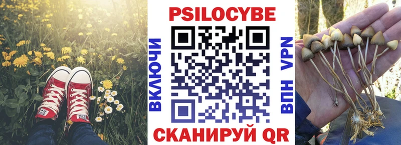 Псилоцибиновые грибы Psilocybine cubensis  площадка телеграм  Аша 