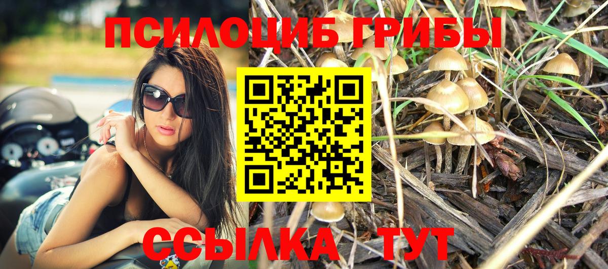 Псилоцибиновые грибы Cubensis  Псилоцибиновые грибы мухоморы  Вход с VPN  Аша 